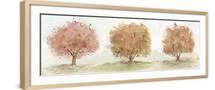 Brown Frame