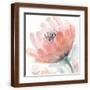 Brown Frame