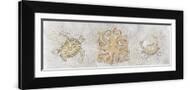 Brown Frame