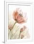 Gramercy White