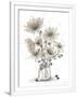 Gramercy White