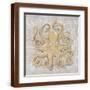 Brown Frame