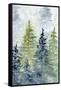 Canvas Black