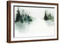 Brown Frame