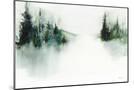Wood Mount