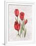Gramercy White