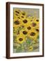 Brown Frame