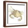 Brown Frame