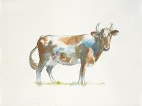 Brown & White Cow-Patti Mann-Art Print