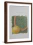 Brown Frame