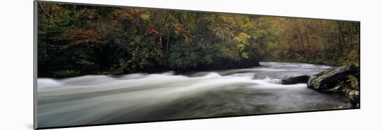 Patton's Run, Nantahala River, Nantahala National Forest, North Carolina, USA-null-Mounted Photographic Print