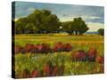 Stretched Canvas