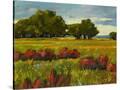 Stretched Canvas