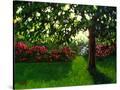Stretched Canvas
