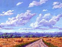 Longs Peak from Estes Park, Colorado-Patty Baker-Art Print