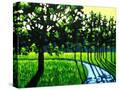 Stretched Canvas
