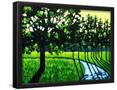 Essential Black