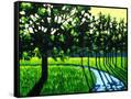 Canvas Black