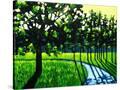 Stretched Canvas
