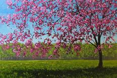 Lone Pink Blossom Tree-Patty Baker-Art Print