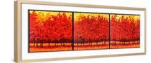 Brown Frame