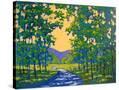 Stretched Canvas