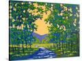 Stretched Canvas