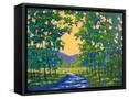 Framed Canvas