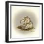 Patty Cake-Peggy Harris-Framed Giclee Print