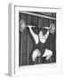 Paul Anderson Lifts 320 Pounds During the 1955 Weightlifting World Championships at Munich-null-Framed Photo