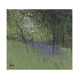 Bluebells-Paul Bailey-Framed Art Print