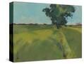 Stretched Canvas