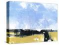 Stretched Canvas