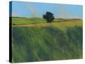 Stretched Canvas