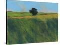 Stretched Canvas