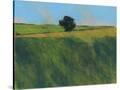 Stretched Canvas