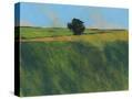 Stretched Canvas