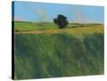 Stretched Canvas