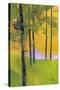 Stretched Canvas