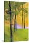 Stretched Canvas