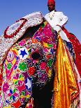 Entrant in Best Dressed Elephant Competition at Annual Elephant Festival, Jaipur, India-Paul Beinssen-Framed Premium Photographic Print