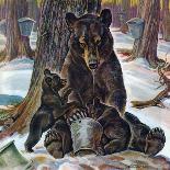 "Bear and Robin Welcome Spring," Country Gentleman Cover, March 14, 1925-Paul Bransom-Giclee Print