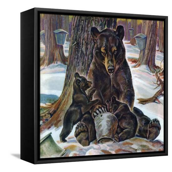 Stretched Canvas Print, , large