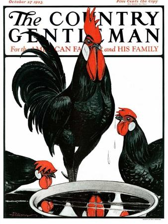 "Fowl Reflections," Country Gentleman Cover, October 27, 1923
