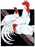 Roosting Rooster & Hens-Paul Bransom-Giclee Print