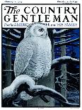 "Snowy Owl in Forest at Night," Country Gentleman Cover, January 12, 1924-Paul Bransom-Giclee Print