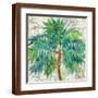 Brown Frame