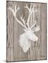 Wood Mount