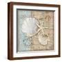Brown Frame