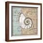 Brown Frame